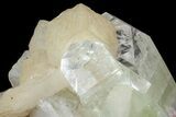 Zoned Apophyllite Crystals With Stilbite - India #72084-2